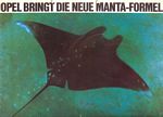 Manta A 19700001.jpg